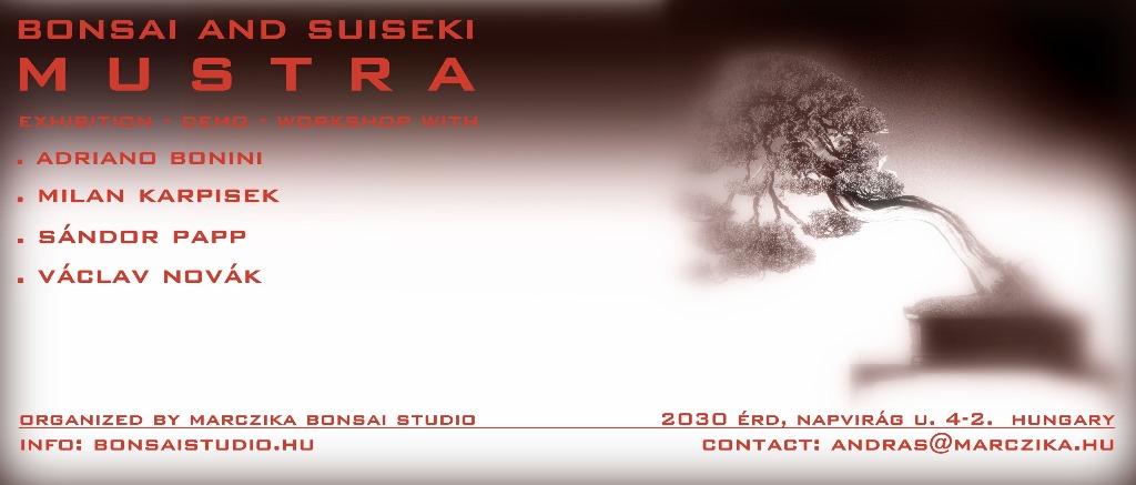 bonsai es suiseki mustra bonsai es suiseki kiallitas az erdi varosi galeriaban hungary marczika bonsai studio